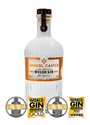 Hensol Castle Welsh Dry Gin