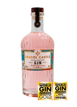 Hensol Castle Wild Strawberry & Hibiscus Gin